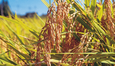 jbo������(�羺)-Ϊ���Ӿ�������,Ϊ��ҫ����