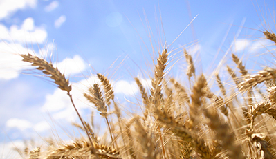 jbo������(�羺)-Ϊ���Ӿ�������,Ϊ��ҫ����