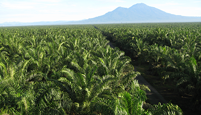 jbo������(�羺)-Ϊ���Ӿ�������,Ϊ��ҫ����