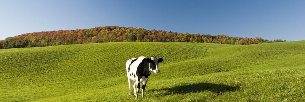 jbo¾º²©¡¤(µç¾º)-Ϊµç×Ó¾º¼¼¶øÉú,ΪÈÙÒ«¶ø²©